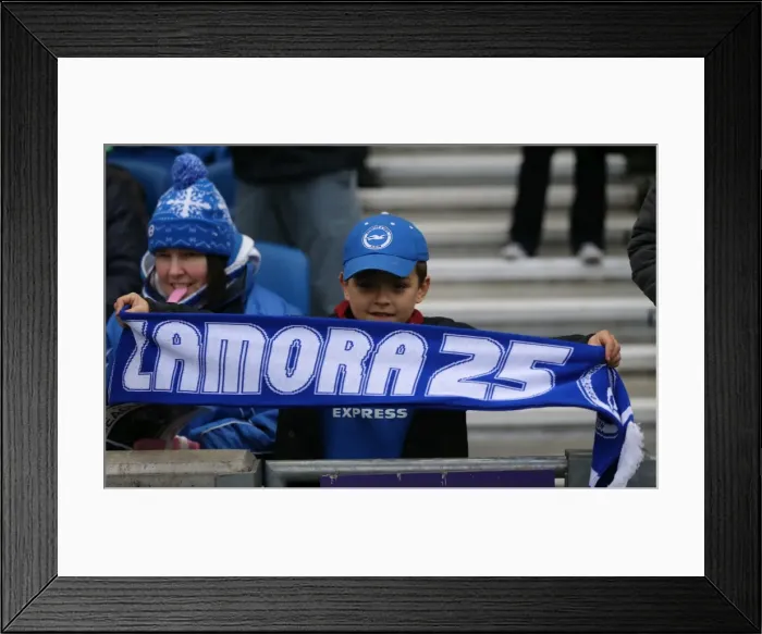 Framed Print : Brighton and Hove Albion vs Charlton Athletic: Sky Bet Championship Showdown at American Express Community Stadium (05DEC15) Framed Print : Brighton and Hove Albion vs Charlton Athletic: Sky Bet Championship Showdown at American Express Community Stadium (05DEC15)