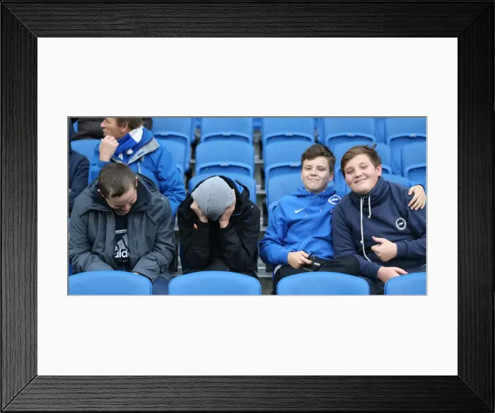 Framed Print : Brighton and Hove Albion vs Charlton Athletic: Sky Bet Championship Showdown at American Express Community Stadium (5th December 2015) Framed Print : Brighton and Hove Albion vs Charlton Athletic: Sky Bet Championship Showdown at American Express Community Stadium (5th December 2015)