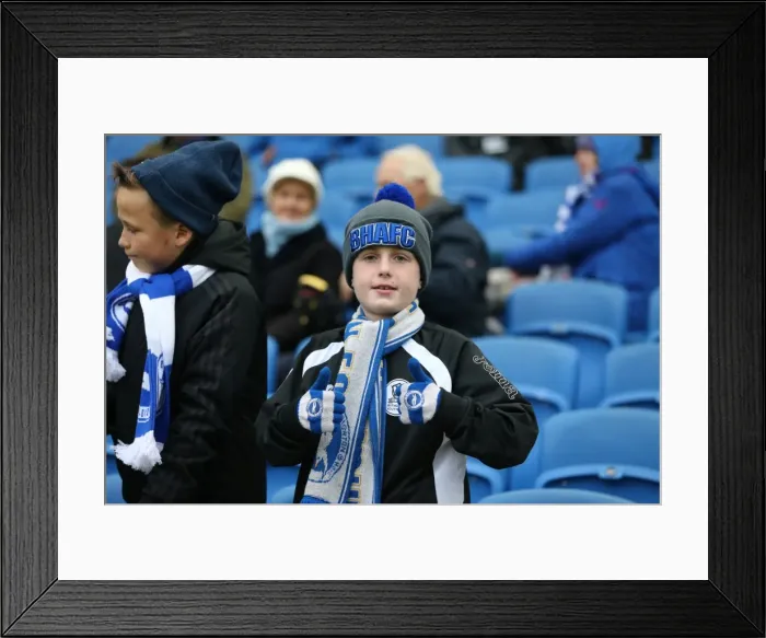 Framed Print : Brighton and Hove Albion vs Charlton Athletic: Sky Bet Championship Showdown at American Express Community Stadium (05DEC15) Framed Print : Brighton and Hove Albion vs Charlton Athletic: Sky Bet Championship Showdown at American Express Community Stadium (05DEC15)
