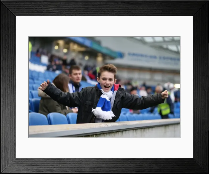 Framed Print : Brighton and Hove Albion vs Charlton Athletic: Sky Bet Championship Showdown at American Express Community Stadium (5th December 2015) Framed Print : Brighton and Hove Albion vs Charlton Athletic: Sky Bet Championship Showdown at American Express Community Stadium (5th December 2015)