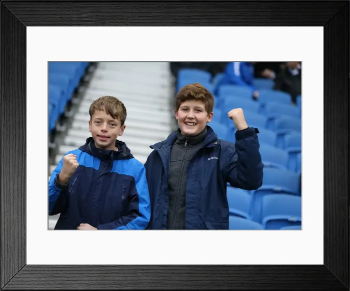 Framed Print : Brighton and Hove Albion vs Charlton Athletic: Sky Bet Championship Showdown at American Express Community Stadium (05DEC15) Framed Print : Brighton and Hove Albion vs Charlton Athletic: Sky Bet Championship Showdown at American Express Community Stadium (05DEC15)