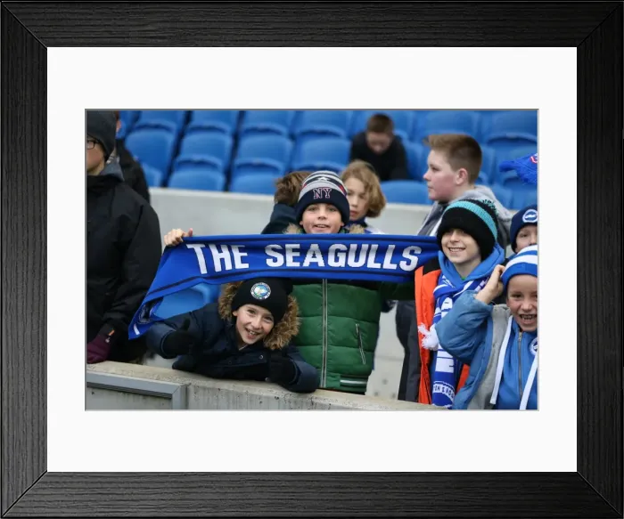 Framed Print : Brighton and Hove Albion vs Charlton Athletic: Sky Bet Championship Showdown at American Express Community Stadium (05DEC15) Framed Print : Brighton and Hove Albion vs Charlton Athletic: Sky Bet Championship Showdown at American Express Community Stadium (05DEC15)