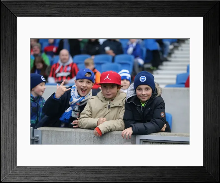 Framed Print : Brighton and Hove Albion vs Charlton Athletic: Sky Bet Championship Showdown at American Express Community Stadium (05DEC15)
