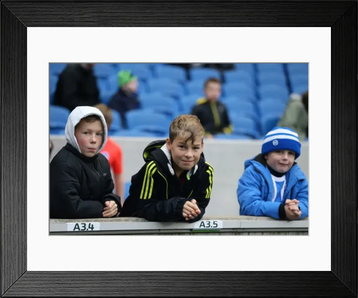 Framed Print : Brighton and Hove Albion vs Charlton Athletic: Sky Bet Championship Showdown at American Express Community Stadium (05DEC15) Framed Print : Brighton and Hove Albion vs Charlton Athletic: Sky Bet Championship Showdown at American Express Community Stadium (05DEC15)
