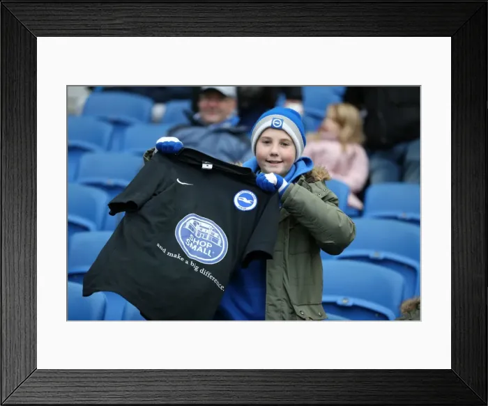 Framed Print : Brighton and Hove Albion vs Charlton Athletic: Sky Bet Championship Showdown at American Express Community Stadium (05DEC15) Framed Print : Brighton and Hove Albion vs Charlton Athletic: Sky Bet Championship Showdown at American Express Community Stadium (05DEC15)
