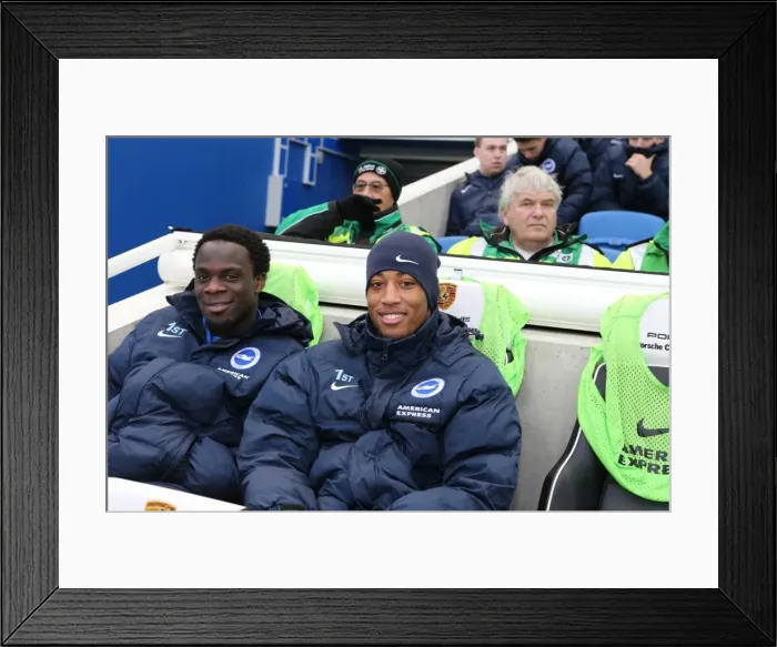 Framed Print : Brighton and Hove Albion vs Charlton Athletic: Sky Bet Championship Showdown at American Express Community Stadium (05DEC15) Framed Print : Brighton and Hove Albion vs Charlton Athletic: Sky Bet Championship Showdown at American Express Community Stadium (05DEC15)