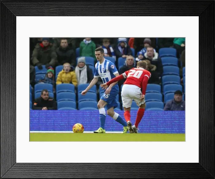 Framed Print : Brighton and Hove Albion vs Charlton Athletic: Sky Bet Championship Showdown at American Express Community Stadium (05DEC15) Framed Print : Brighton and Hove Albion vs Charlton Athletic: Sky Bet Championship Showdown at American Express Community Stadium (05DEC15)