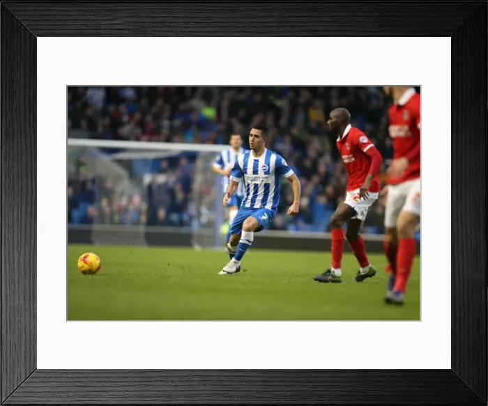 Framed Print : Brighton & Hove Albion vs Charlton Athletic: Sky Bet Championship Showdown at American Express Community Stadium (05DEC15) Framed Print : Brighton & Hove Albion vs Charlton Athletic: Sky Bet Championship Showdown at American Express Community Stadium (05DEC15)