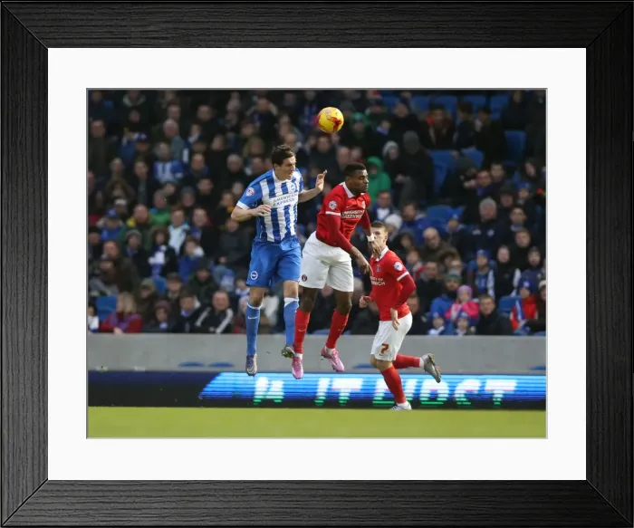 Framed Print : Brighton and Hove Albion vs Charlton Athletic: Sky Bet Championship Showdown at American Express Community Stadium (05DEC15) Framed Print : Brighton and Hove Albion vs Charlton Athletic: Sky Bet Championship Showdown at American Express Community Stadium (05DEC15)