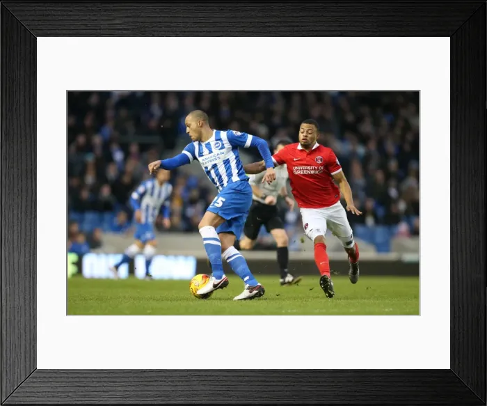 Framed Print : Brighton & Hove Albion vs Charlton Athletic: Sky Bet Championship Showdown at American Express Community Stadium (05DEC15) Framed Print : Brighton & Hove Albion vs Charlton Athletic: Sky Bet Championship Showdown at American Express Community Stadium (05DEC15)