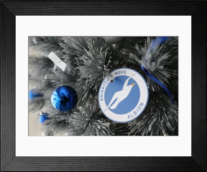 Framed Print : Young Seagulls Christmas Party 2015 at American Express Community Stadium Framed Print : Young Seagulls Christmas Party 2015 at American Express Community Stadium