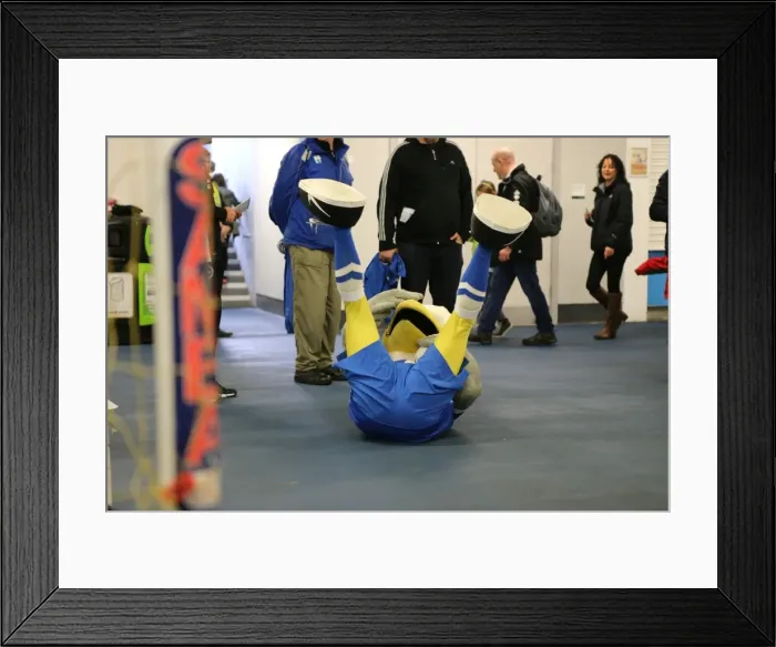 Framed Print : Young Seagulls Christmas Party 2015 at American Express Community Stadium Framed Print : Young Seagulls Christmas Party 2015 at American Express Community Stadium