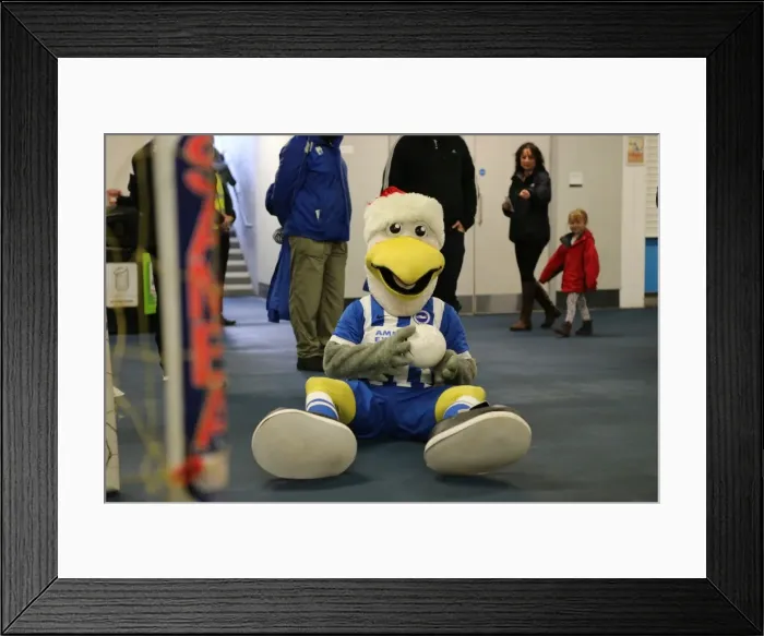 Framed Print : Young Seagulls Christmas Party 2015 at American Express Community Stadium Framed Print : Young Seagulls Christmas Party 2015 at American Express Community Stadium