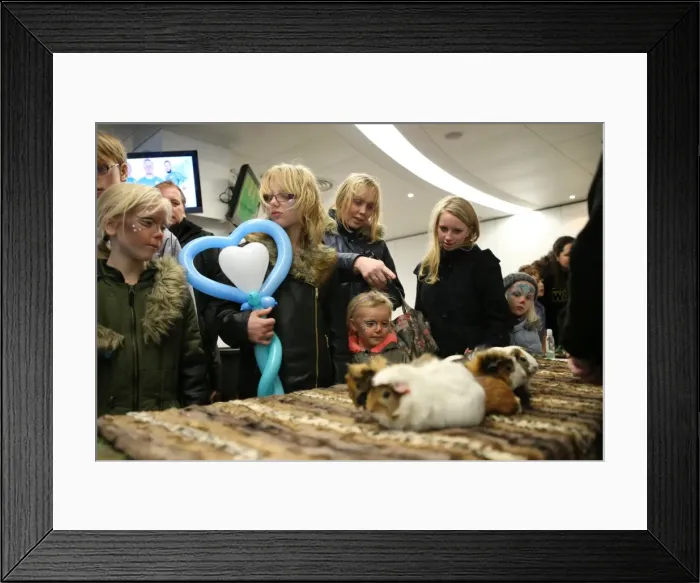 Framed Print : Young Seagulls Celebrate Christmas 2015 at American Express Community Stadium Framed Print : Young Seagulls Celebrate Christmas 2015 at American Express Community Stadium