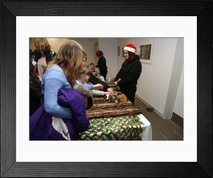Framed Print : Young Seagulls Christmas Party 2015 at American Express Community Stadium Framed Print : Young Seagulls Christmas Party 2015 at American Express Community Stadium