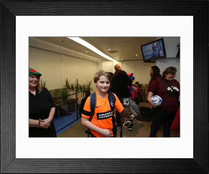 Framed Print : Young Seagulls Christmas Party 2015 at American Express Community Stadium Framed Print : Young Seagulls Christmas Party 2015 at American Express Community Stadium