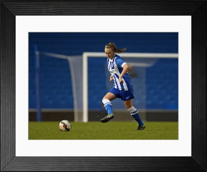Framed Print : Brighton & Hove Albion Women vs Charlton Athletic Ladies: FA Womens Premier League Clash at American Express Community Stadium (December 2015) Framed Print : Brighton & Hove Albion Women vs Charlton Athletic Ladies: FA Womens Premier League Clash at American Express Community Stadium (December 2015)