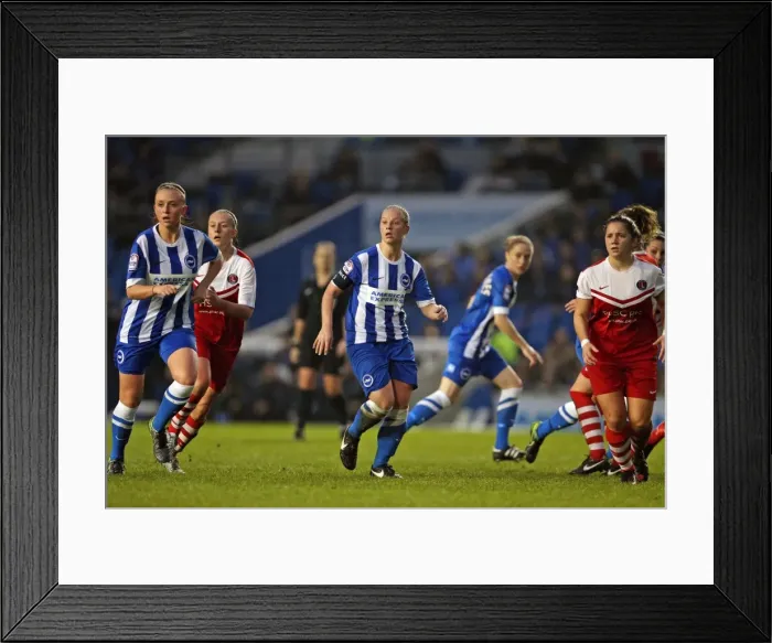 Framed Print : Brighton & Hove Albion Women vs Charlton Athletic Ladies: FA Women's Premier League Showdown at American Express Community Stadium (December 2015) Framed Print : Brighton & Hove Albion Women vs Charlton Athletic Ladies: FA Women's Premier League Showdown at American Express Community Stadium (December 2015)