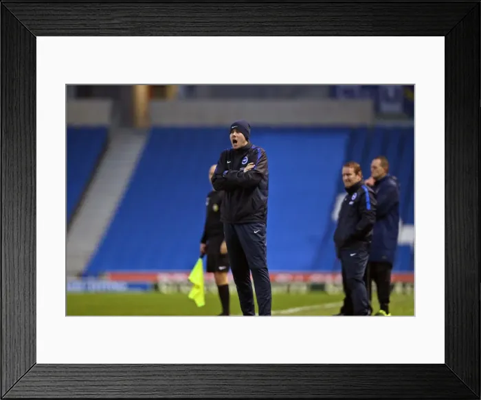 Framed Print : FA Womens Premier League: Brighton & Hove Albion Women vs Charlton Athletic Ladies Clash at American Express Community Stadium (December 2015) Framed Print : FA Womens Premier League: Brighton & Hove Albion Women vs Charlton Athletic Ladies Clash at American Express Community Stadium (December 2015)