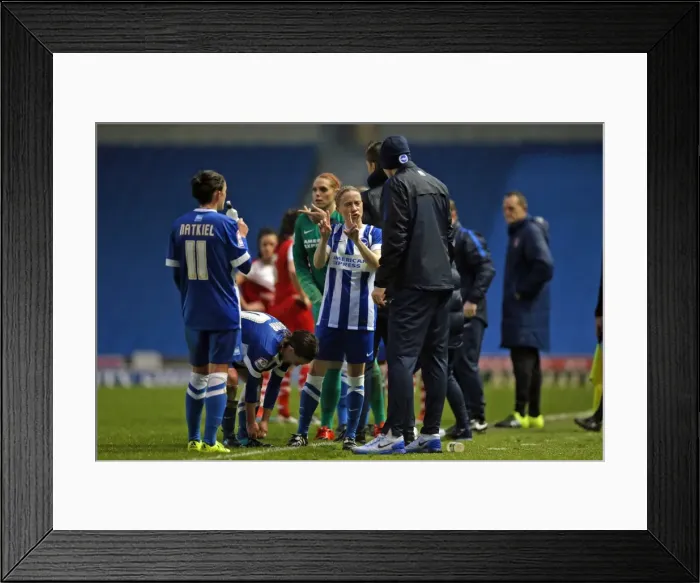Framed Print : Brighton & Hove Albion Women vs Charlton Athletic Ladies: FA Womens Premier League Showdown at American Express Community Stadium (December 2015)