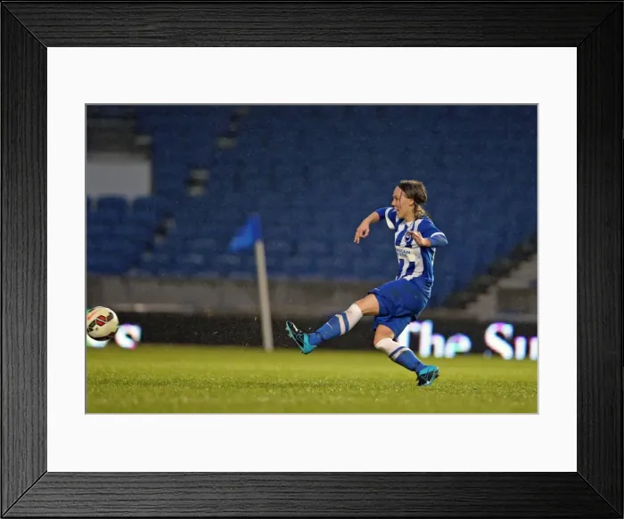 Framed Print : FA Women's Premier League: Brighton & Hove Albion Women vs Charlton Athletic Ladies Clash at American Express Community Stadium (December 2015) Framed Print : FA Women's Premier League: Brighton & Hove Albion Women vs Charlton Athletic Ladies Clash at American Express Community Stadium (December 2015)