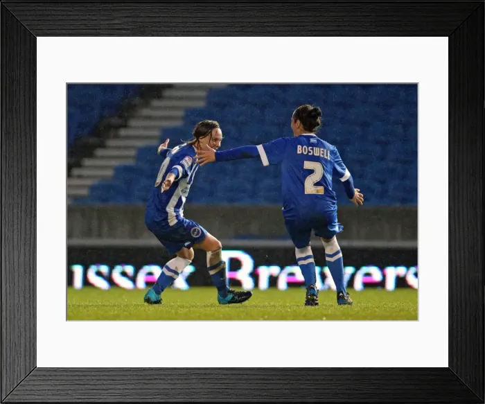 Framed Print : Brighton & Hove Albion Women vs Charlton Athletic Ladies: FA Womens Premier League Clash at American Express Community Stadium (December 2015) Framed Print : Brighton & Hove Albion Women vs Charlton Athletic Ladies: FA Womens Premier League Clash at American Express Community Stadium (December 2015)