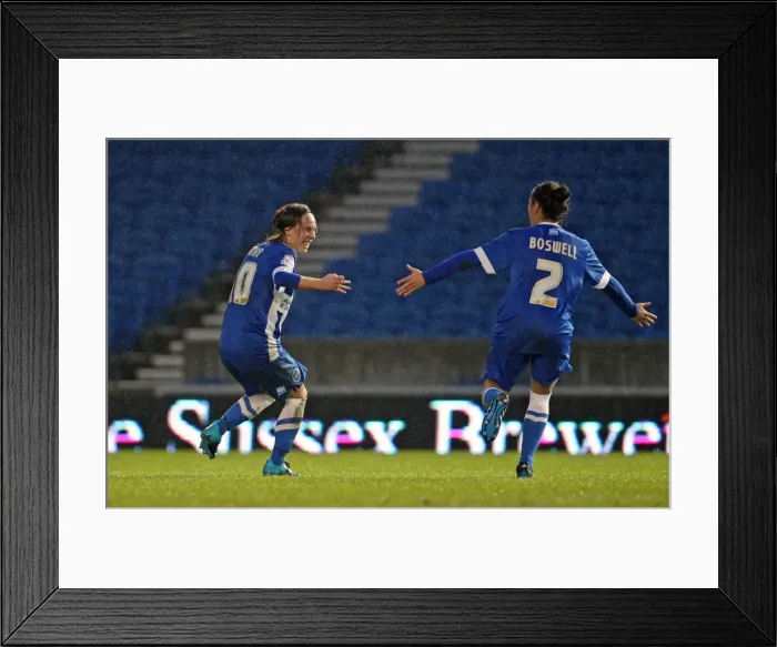 Framed Print : Brighton & Hove Albion Women vs Charlton Athletic Ladies: FA Womens Premier League Showdown at American Express Community Stadium (December 2015) Framed Print : Brighton & Hove Albion Women vs Charlton Athletic Ladies: FA Womens Premier League Showdown at American Express Community Stadium (December 2015)