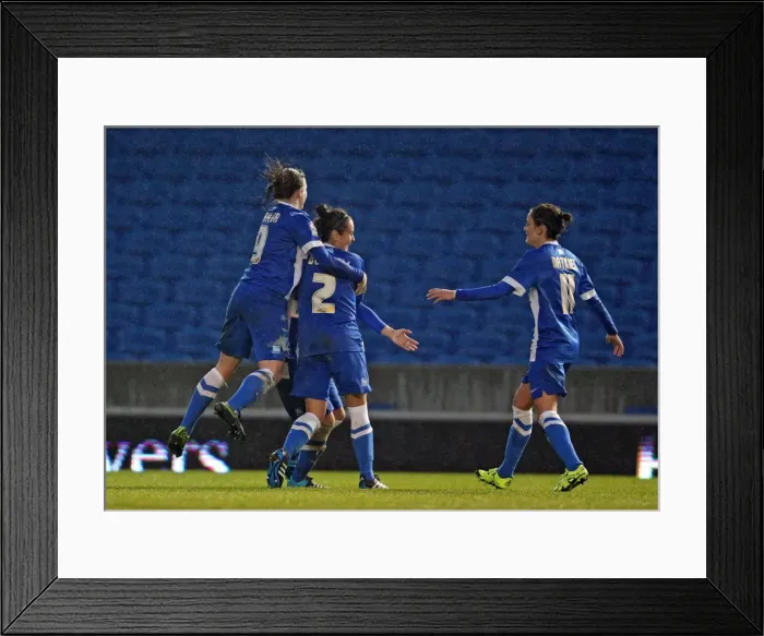 Framed Print : FA Women's Premier League: Brighton & Hove Albion Women vs Charlton Athletic Ladies Clash at American Express Community Stadium (December 2015) Framed Print : FA Women's Premier League: Brighton & Hove Albion Women vs Charlton Athletic Ladies Clash at American Express Community Stadium (December 2015)