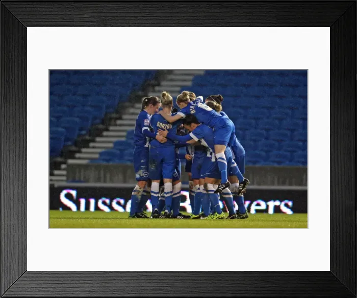 Framed Print : Brighton & Hove Albion Women vs Charlton Athletic Ladies: FA Womens Premier League Showdown at American Express Community Stadium (December 2015) Framed Print : Brighton & Hove Albion Women vs Charlton Athletic Ladies: FA Womens Premier League Showdown at American Express Community Stadium (December 2015)