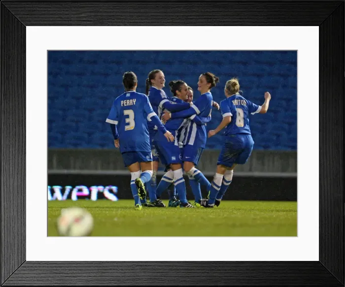 Framed Print : Brighton & Hove Albion Women vs Charlton Athletic Ladies: FA Womens Premier League Clash at American Express Community Stadium (December 2015) Framed Print : Brighton & Hove Albion Women vs Charlton Athletic Ladies: FA Womens Premier League Clash at American Express Community Stadium (December 2015)