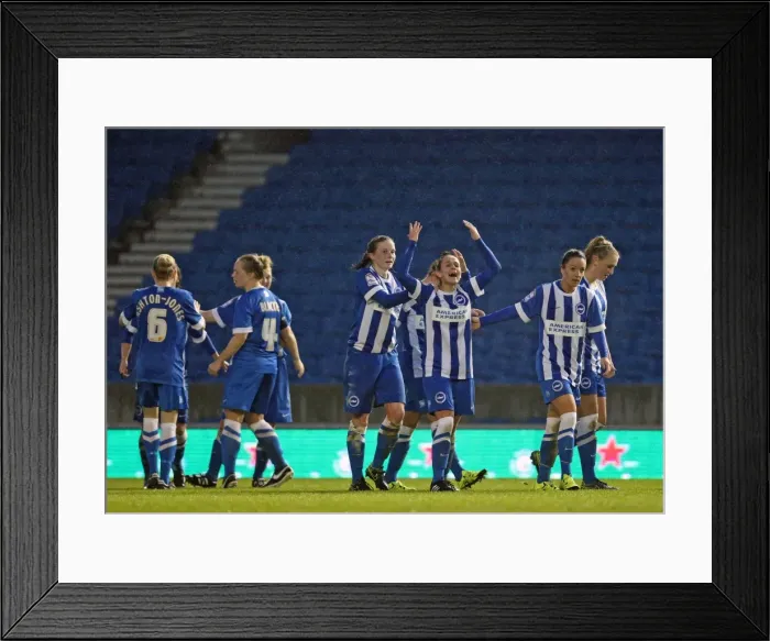 Framed Print : Brighton & Hove Albion Women vs Charlton Athletic Ladies: FA Womens Premier League Clash at American Express Community Stadium (December 2015) Framed Print : Brighton & Hove Albion Women vs Charlton Athletic Ladies: FA Womens Premier League Clash at American Express Community Stadium (December 2015)