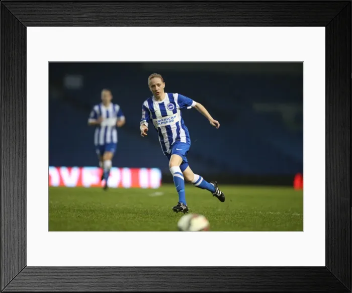 Framed Print : Brighton & Hove Albion Women vs Charlton Athletic Ladies: FA Womens Premier League Showdown at American Express Community Stadium (December 2015) Framed Print : Brighton & Hove Albion Women vs Charlton Athletic Ladies: FA Womens Premier League Showdown at American Express Community Stadium (December 2015)