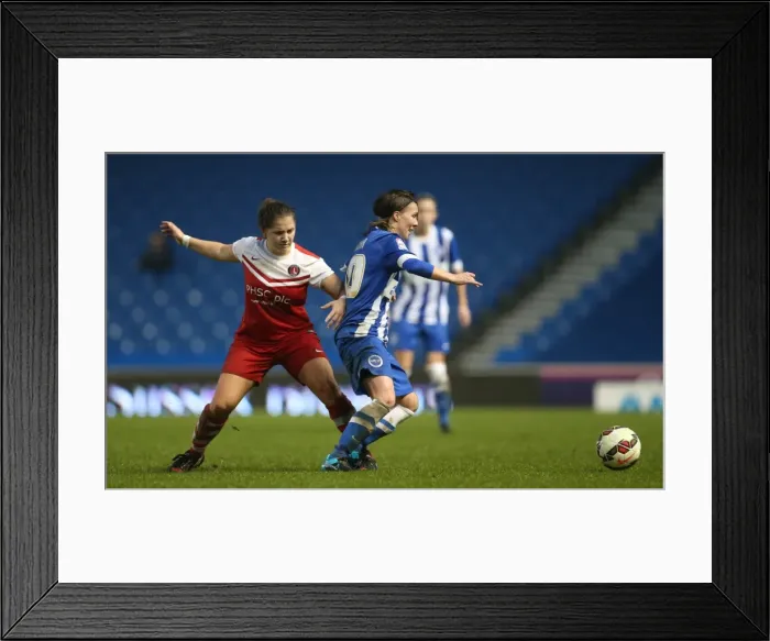 Framed Print : Brighton & Hove Albion Women vs Charlton Athletic Ladies: FA Womens Premier League Showdown at American Express Community Stadium (December 2015) Framed Print : Brighton & Hove Albion Women vs Charlton Athletic Ladies: FA Womens Premier League Showdown at American Express Community Stadium (December 2015)