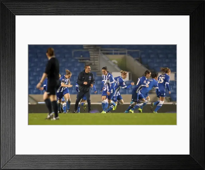 Framed Print : Brighton & Hove Albion Women vs Charlton Athletic Ladies: FA Womens Premier League Showdown at American Express Community Stadium (December 2015) Framed Print : Brighton & Hove Albion Women vs Charlton Athletic Ladies: FA Womens Premier League Showdown at American Express Community Stadium (December 2015)