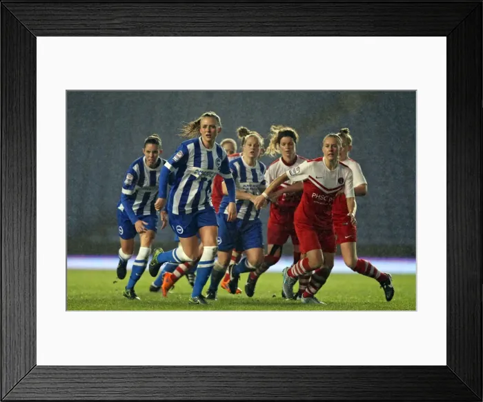 Framed Print : FA Women's Premier League: Brighton & Hove Albion Women vs Charlton Athletic Ladies Clash at American Express Community Stadium (December 2015) Framed Print : FA Women's Premier League: Brighton & Hove Albion Women vs Charlton Athletic Ladies Clash at American Express Community Stadium (December 2015)