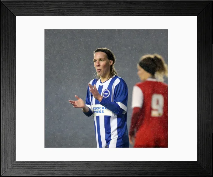 Framed Print : FA Womens Premier League: Brighton & Hove Albion Women vs Charlton Athletic Ladies Clash at American Express Community Stadium (December 2015) Framed Print : FA Womens Premier League: Brighton & Hove Albion Women vs Charlton Athletic Ladies Clash at American Express Community Stadium (December 2015)