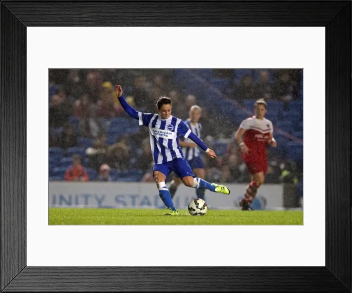 Framed Print : FA Womens Premier League: Brighton & Hove Albion Women vs Charlton Athletic Ladies Clash at American Express Community Stadium (December 2015)