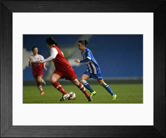 Framed Print : Brighton & Hove Albion Women vs Charlton Athletic Ladies: FA Womens Premier League Clash at American Express Community Stadium (December 2015) Framed Print : Brighton & Hove Albion Women vs Charlton Athletic Ladies: FA Womens Premier League Clash at American Express Community Stadium (December 2015)