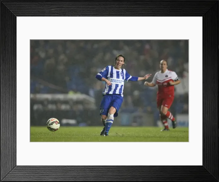 Framed Print : FA Womens Premier League: Brighton & Hove Albion Women vs Charlton Athletic Ladies Clash at American Express Community Stadium (December 2015) Framed Print : FA Womens Premier League: Brighton & Hove Albion Women vs Charlton Athletic Ladies Clash at American Express Community Stadium (December 2015)