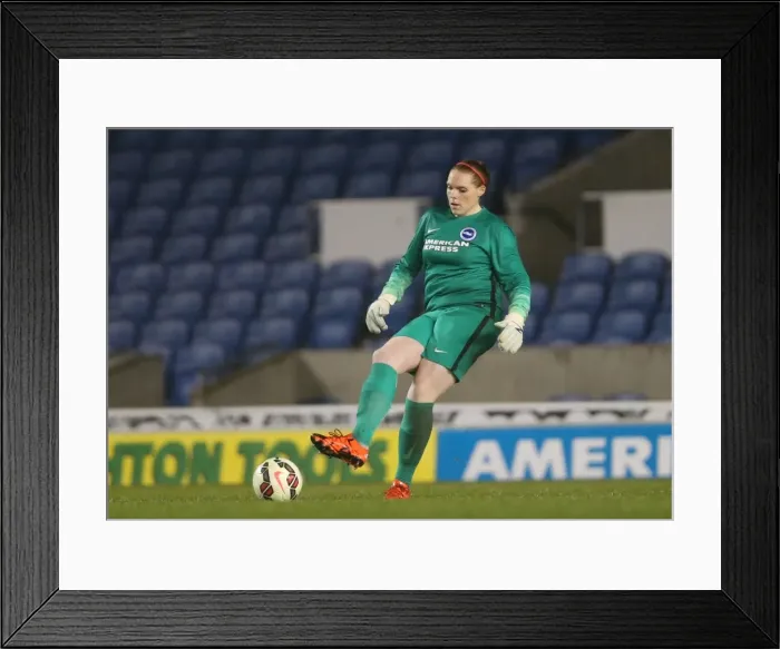 Framed Print : Brighton & Hove Albion Women vs Charlton Athletic Ladies: FA Womens Premier League Showdown at American Express Community Stadium (December 2015) Framed Print : Brighton & Hove Albion Women vs Charlton Athletic Ladies: FA Womens Premier League Showdown at American Express Community Stadium (December 2015)