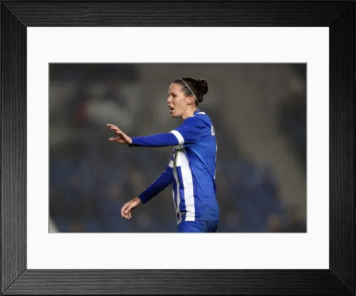 Framed Print : Brighton & Hove Albion Women vs Charlton Athletic Ladies: FA Womens Premier League Clash at American Express Community Stadium (December 2015) Framed Print : Brighton & Hove Albion Women vs Charlton Athletic Ladies: FA Womens Premier League Clash at American Express Community Stadium (December 2015)