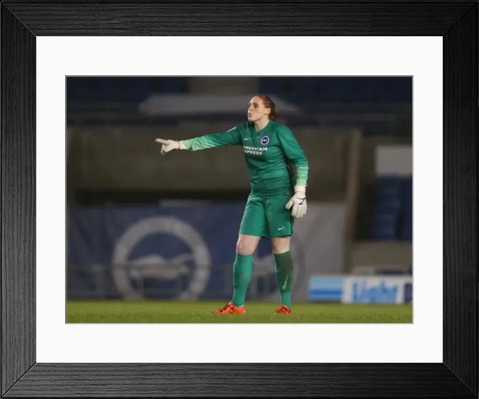 Framed Print : Brighton & Hove Albion Women vs Charlton Athletic Ladies: FA Womens Premier League Clash at American Express Community Stadium (December 2015) Framed Print : Brighton & Hove Albion Women vs Charlton Athletic Ladies: FA Womens Premier League Clash at American Express Community Stadium (December 2015)