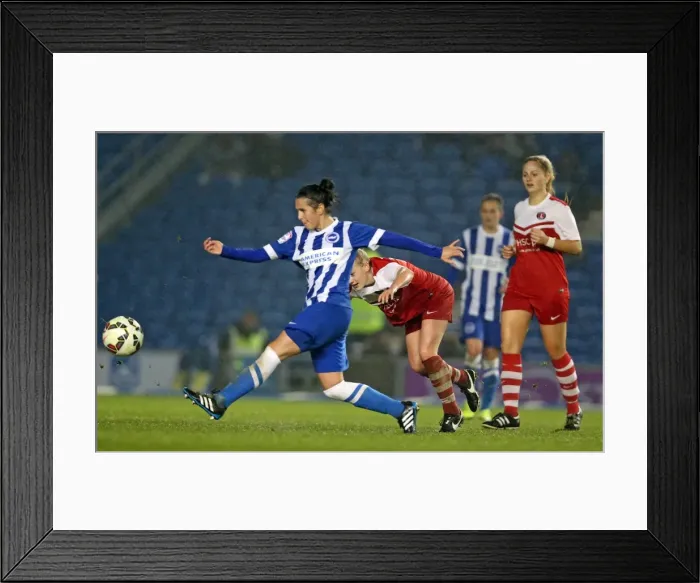 Framed Print : Brighton & Hove Albion Women vs Charlton Athletic Ladies: FA Women's Premier League Showdown at American Express Community Stadium (December 2015) Framed Print : Brighton & Hove Albion Women vs Charlton Athletic Ladies: FA Women's Premier League Showdown at American Express Community Stadium (December 2015)