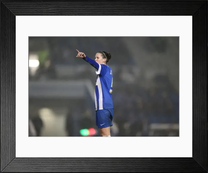 Framed Print : Brighton & Hove Albion Women vs Charlton Athletic Ladies: FA Womens Premier League Clash at American Express Community Stadium (December 2015) Framed Print : Brighton & Hove Albion Women vs Charlton Athletic Ladies: FA Womens Premier League Clash at American Express Community Stadium (December 2015)