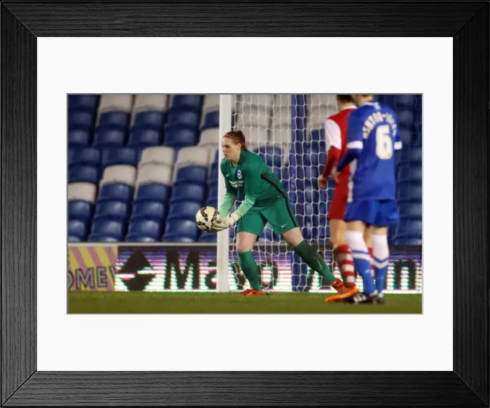 Framed Print : Brighton & Hove Albion Women vs Charlton Athletic Ladies: FA Womens Premier League Showdown at American Express Community Stadium (December 2015) Framed Print : Brighton & Hove Albion Women vs Charlton Athletic Ladies: FA Womens Premier League Showdown at American Express Community Stadium (December 2015)