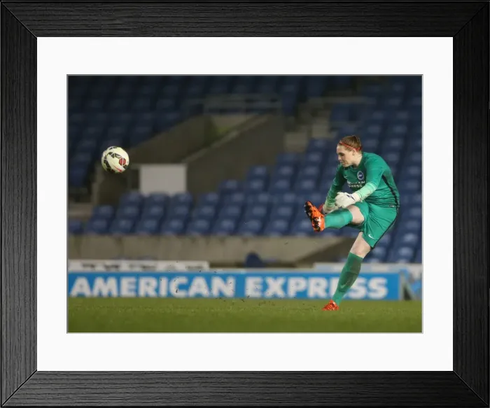 Framed Print : FA Women's Premier League: Brighton & Hove Albion Women vs Charlton Athletic Ladies Clash at American Express Community Stadium (December 2015) Framed Print : FA Women's Premier League: Brighton & Hove Albion Women vs Charlton Athletic Ladies Clash at American Express Community Stadium (December 2015)