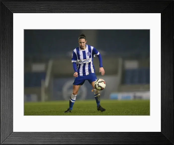 Framed Print : Brighton & Hove Albion Women vs Charlton Athletic Ladies: FA Womens Premier League Showdown at American Express Community Stadium (December 2015) Framed Print : Brighton & Hove Albion Women vs Charlton Athletic Ladies: FA Womens Premier League Showdown at American Express Community Stadium (December 2015)