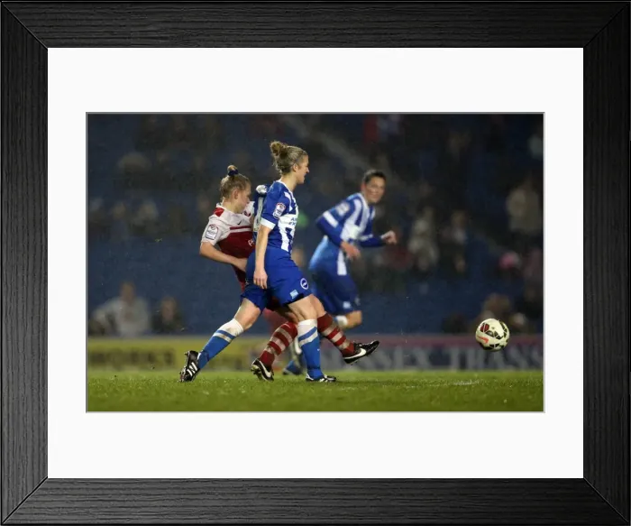 Framed Print : Brighton & Hove Albion Women vs Charlton Athletic Ladies: FA Womens Premier League Showdown at American Express Community Stadium (December 2015) Framed Print : Brighton & Hove Albion Women vs Charlton Athletic Ladies: FA Womens Premier League Showdown at American Express Community Stadium (December 2015)