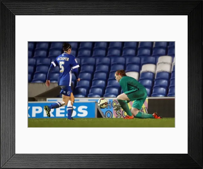 Framed Print : Brighton & Hove Albion Women vs Charlton Athletic Ladies: FA Women's Premier League Showdown at American Express Community Stadium (December 2015) Framed Print : Brighton & Hove Albion Women vs Charlton Athletic Ladies: FA Women's Premier League Showdown at American Express Community Stadium (December 2015)