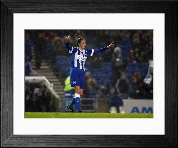 Framed Print : Brighton & Hove Albion Women vs Charlton Athletic Ladies: FA Women's Premier League Showdown at American Express Community Stadium (December 2015) Framed Print : Brighton & Hove Albion Women vs Charlton Athletic Ladies: FA Women's Premier League Showdown at American Express Community Stadium (December 2015)